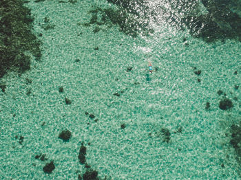 Woman swimming in sea