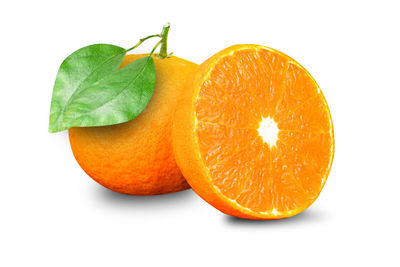 Close-up of orange fruit against white background