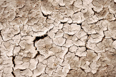 Close-up of cracked land