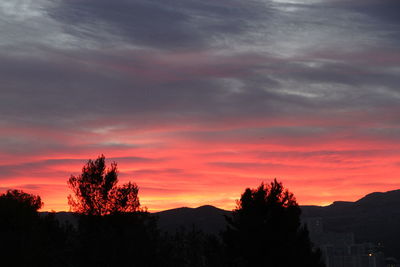 Silhouette trees against sky during sunset