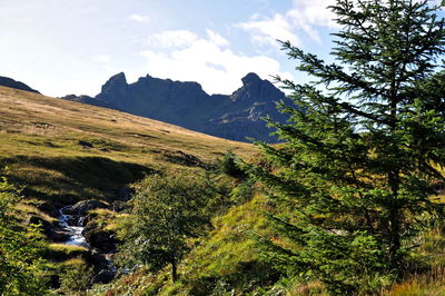 Scenic view of green landscape and mountains against sky