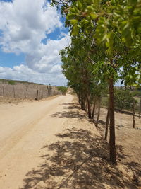 Scenic view of farm against sky