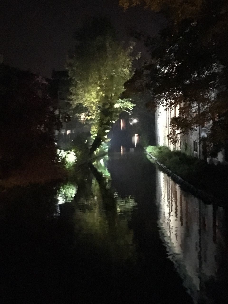 tree, reflection, water, real people, silhouette, outdoors, nature, men, people, night, adult, sky