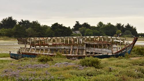 Boats moored on shore against sky