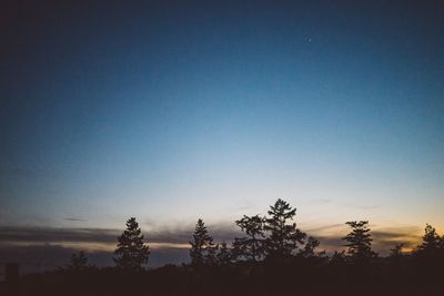 Silhouette trees against clear sky at sunset