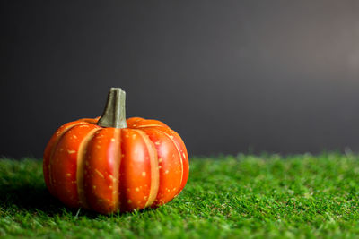 Close-up of fresh orange fruit on field against black background