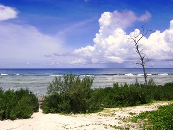 Scenic view of beach against sky