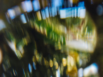 Close-up of glass bottles