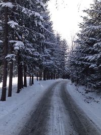 Snow covered road amidst trees during winter