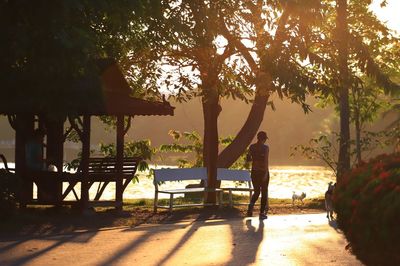 Rear view of man on park bench