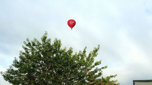 Low angle view of hot air balloon against sky