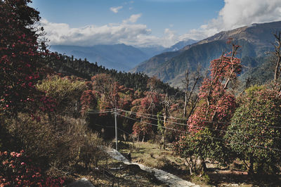 Panoramic view of trees and mountains against sky