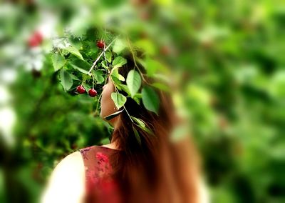 Close-up of flower buds