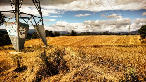 Scenic view of agricultural field against sky