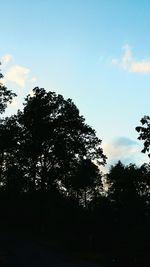 Low angle view of trees against blue sky