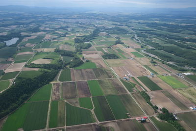 Aerial view of agricultural field