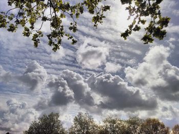 Low angle view of trees against cloudy sky