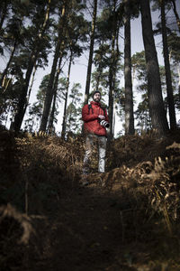 Rear view of person standing by trees in forest