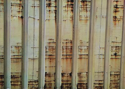 Full frame shot of bamboo by river against building