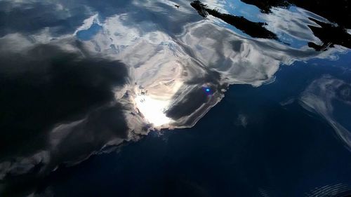 Close-up of jellyfish swimming in sea