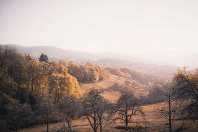 Scenic view of landscape against clear sky