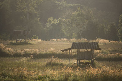 Empty chairs and table on field