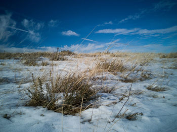 Scenic view of snow covered field against sky