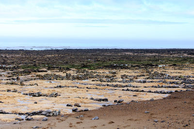 Scenic view of beach against sky