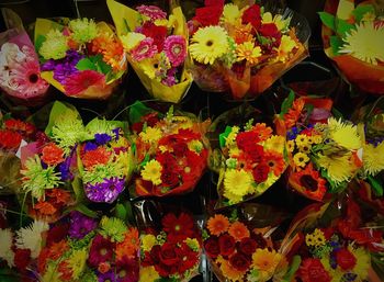 Close-up high angle view of flowers