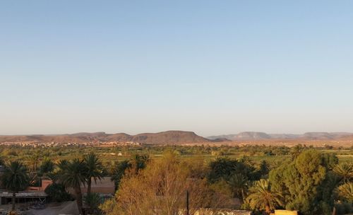 Scenic view of field against clear sky