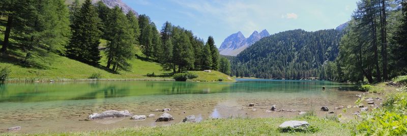 Scenic view of lake and tree mountain