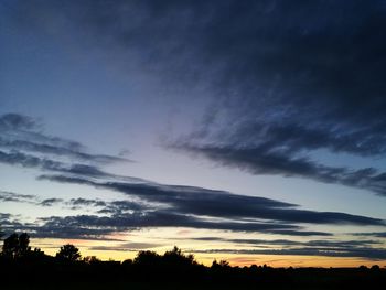 Silhouette of trees at sunset