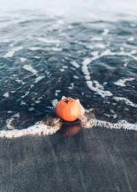 High angle view of fruit on beach