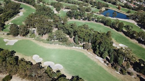 High angle view of river amidst trees