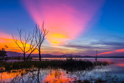 Silhouette plants by lake against romantic sky at sunset