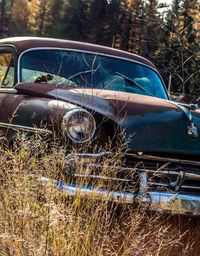 Close-up of cropped car