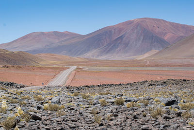 Scenic view of desert against clear sky