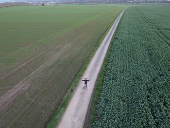 High angle view of agricultural field