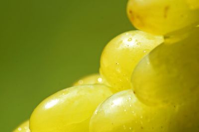 Close-up of wet fruit