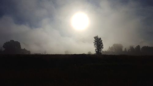 Silhouette trees on field against sky