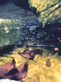 Close-up of water splashing in autumn