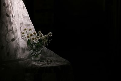 Close-up of flower vase against black background