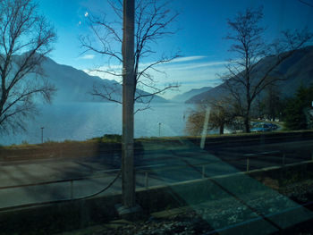 Scenic view of bare trees against clear sky