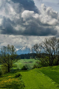 Scenic view of landscape against sky