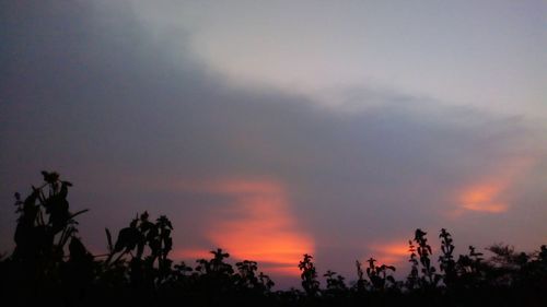 Low angle view of silhouette trees against sky at sunset