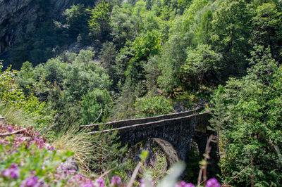 High angle view of bridge against trees on mountain