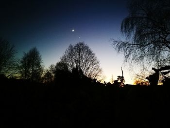 Silhouette trees against sky at night