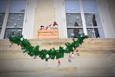 Group of christmas tree