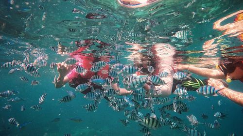 Woman swimming in sea