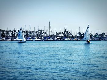 Boats moored in sea